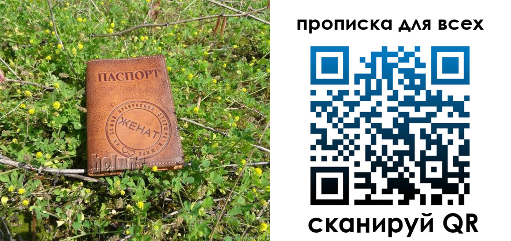 прописка поиск в Нерчинске
